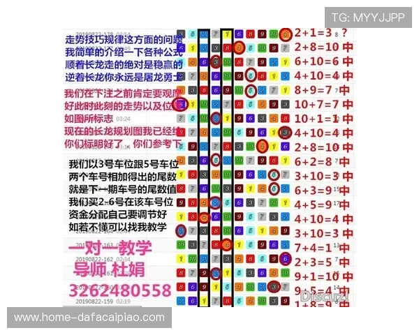 幸运飞艇明天走势分析及投注技巧全面解读指南