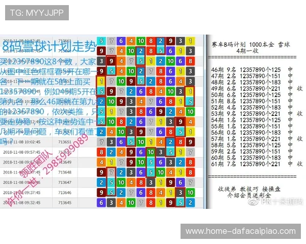 PK10投注技巧全解析揭秘号码规律与投注技巧精华汇总