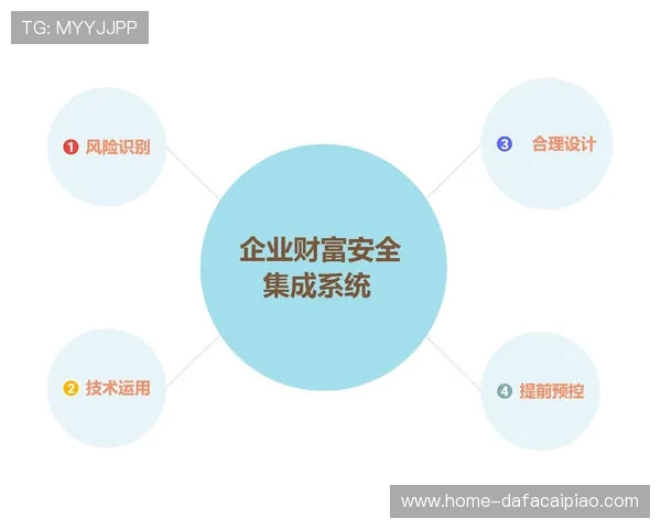 极速飞艇计划解析与投资策略全面指南及风险防控研究